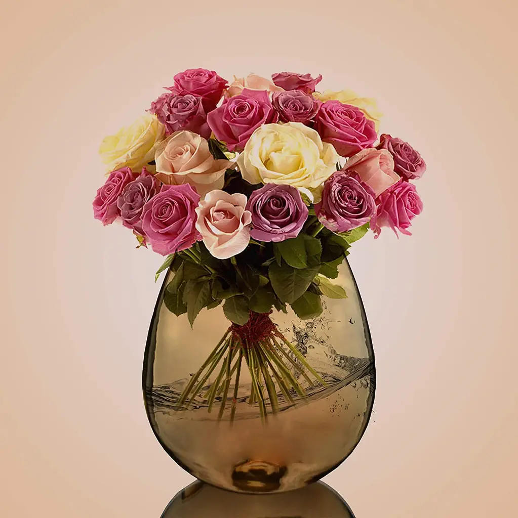 71n9oHhYbwS._SL1500_ (1).webp